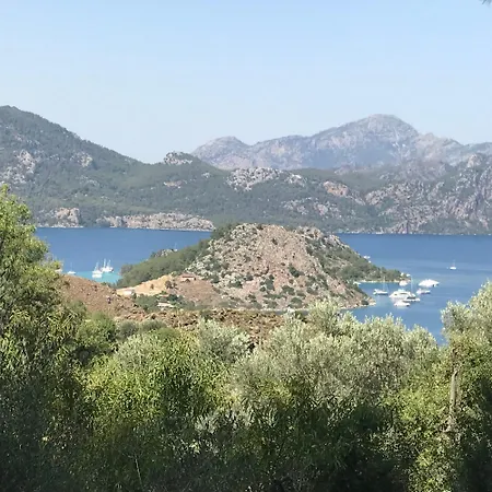Selimiye Orman Evleri *