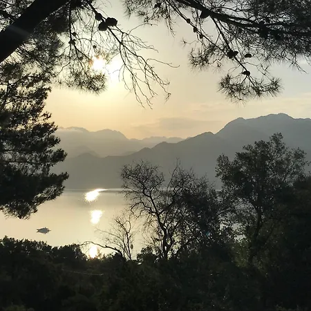 Selimiye Orman Evleri Alpstuga Marmaris