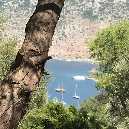 Selimiye Orman Evleri Chalet
